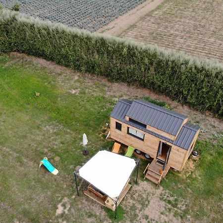 Tiny House Sur La Presqu'Ile Sauvage Hotell Lanmodez Exteriör bild
